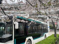 -南浦大桥长途旅游客运站