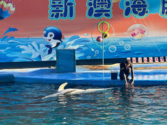 -秦皇岛新澳海底世界
