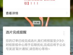 -红像馆精致肖像证件照(亦庄店)