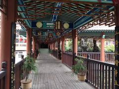 -张关合渣(航空大道店)