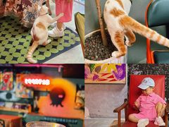 -nodcafe(M50创意园店)