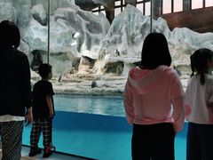 -帝企鹅自助餐厅•儿童岛•真企鹅(长隆企鹅酒店)