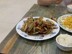 -小叶大馅饺子城