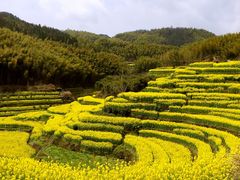 -灵山景区梯田
