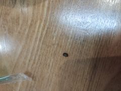 -岚方螺蛳粉(铁西店)