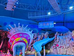 -烟台海昌鲸鲨海洋公园