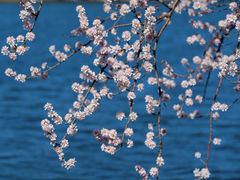 -颐和园