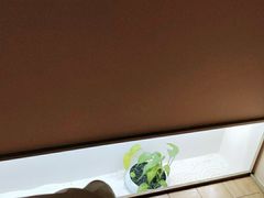 -常乐·对症推拿(解放碑英利大融城店)
