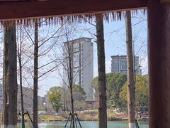 -宁波儿童公园(鄞州区)