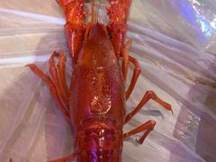 -霸王虾·小龙虾香辣蟹(玉林店)