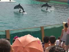 -秦皇岛乐岛海洋王国