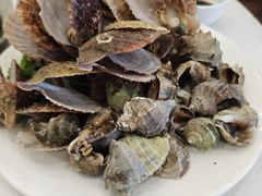 -鑫渔港海鲜本地菜·山海关浑锅(东戴河店)