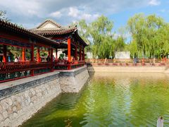 -尚庄度假村·庭台树下·户外烧烤·团建CS·轰趴营地(上庄水库店)