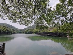 -白马涧龙池景区