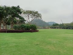 -顺峰山公园
