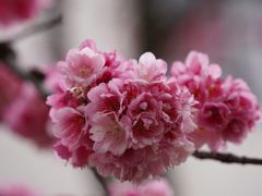 -亦境芳香·SPA影院足道(梅林店)