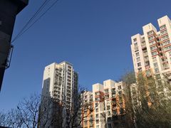 -芍药居北里