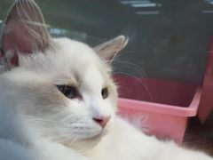 -乐宠宠物店(世纪金源店)