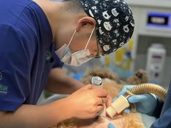 -联合动物医院(光谷诊疗中心)