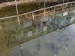 -北京鹿世界主题园