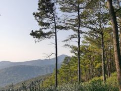 -缥缈峰景区