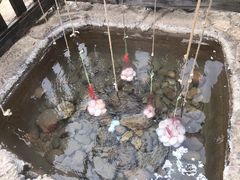 -天芳悦潭度假村温泉