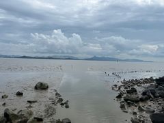 -深圳湾公园(南山区)