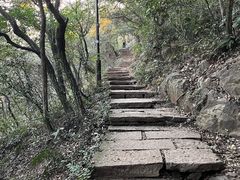 -杭州半山国家森林公园