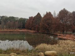 -凤凰沟景区