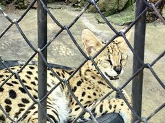 -大连森林动物园