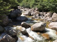 -青峰峡国家森林公园