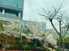 -同济大学(地铁站)
