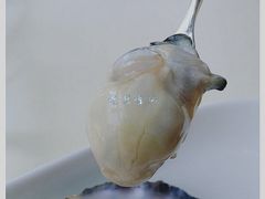 -Oyster Talks 四度蚝法餐厅