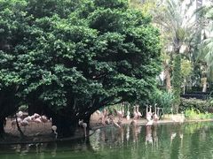 -九龙公园