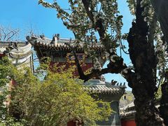 -潭柘寺景区