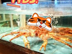 景观位-云庭汇·粤菜海鲜(东盟盛天地店)