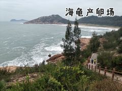 -广东惠东海龟国家级自然保护区