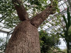 -南通洲际绿博园