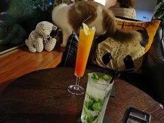 -咖法森林·咖啡  酒吧(天河店)