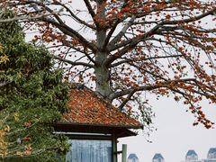 -喜洲吧·江畔老船厂·庭院餐厅(喜临院店)