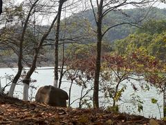 -凤岗南门山森林公园
