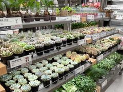 -鹿岛生活(熙地港店)