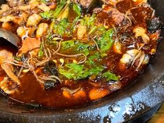 -都江堰石锅鱼