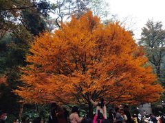 -岳麓山风景名胜区