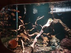 -太平洋海底世界