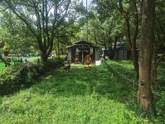 -WeLope紫金山探险公园