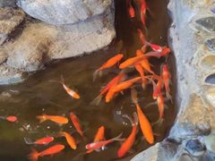 -一桶江山餐厅(松北店)