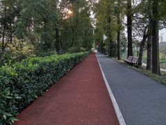 -上海长兴岛郊野公园