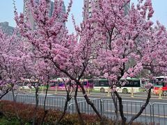 -家风老馆子(东风店)