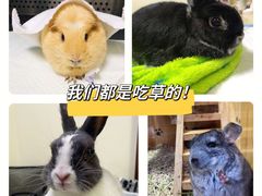-美联众合动物医院·24h转诊中心